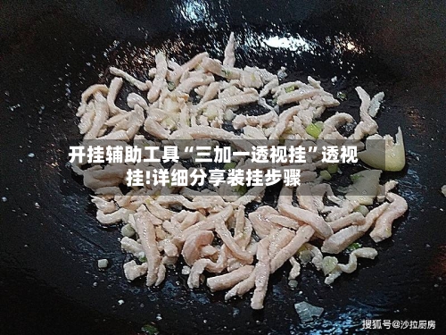 开挂辅助工具“三加一透视挂	”透视挂!详细分享装挂步骤-第2张图片