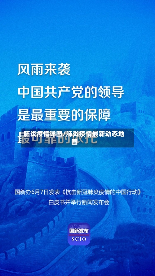 肺炎疫情详图/肺炎疫情最新动态地图-第1张图片