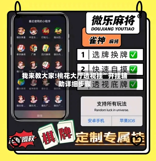 我来教大家!桃花大厅透视挂”开挂辅助详细步骤-第1张图片