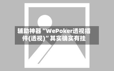 辅助神器“WePoker透视插件(透视)”其实确实有挂-第2张图片