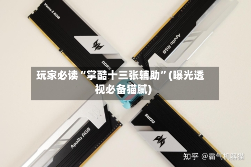 玩家必读“掌酷十三张辅助”(曝光透视必备猫腻)