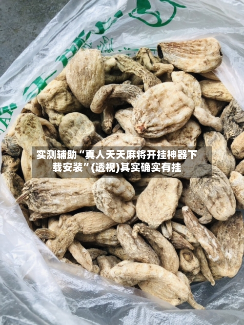 实测辅助“真人天天麻将开挂神器下载安装”(透视)其实确实有挂