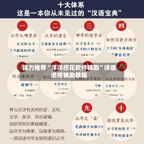 强力推荐“洋洋挖花软件辅助”详细透视辅助教程-第2张图片