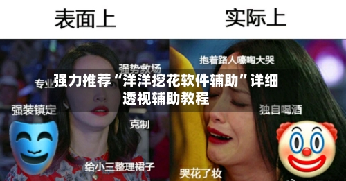 强力推荐“洋洋挖花软件辅助”详细透视辅助教程