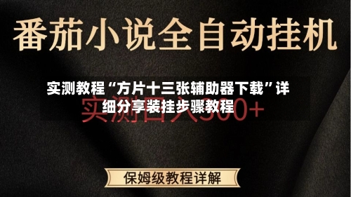实测教程“方片十三张辅助器下载”详细分享装挂步骤教程-第1张图片