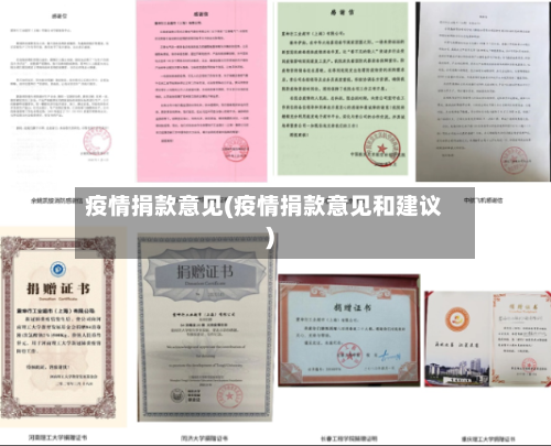 疫情捐款意见(疫情捐款意见和建议)-第2张图片