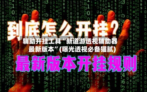 辅助开挂工具“新道游透视辅助器最新版本”(曝光透视必备猫腻)-第3张图片