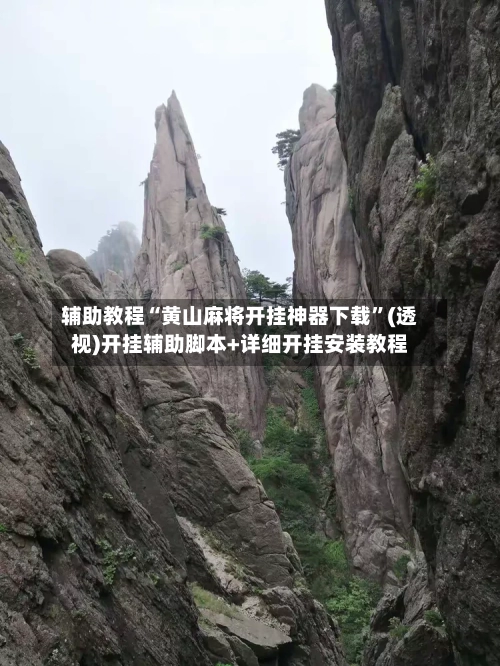 辅助教程“黄山麻将开挂神器下载”(透视)开挂辅助脚本+详细开挂安装教程-第3张图片