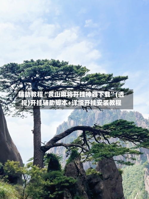 辅助教程“黄山麻将开挂神器下载	”(透视)开挂辅助脚本+详细开挂安装教程-第1张图片