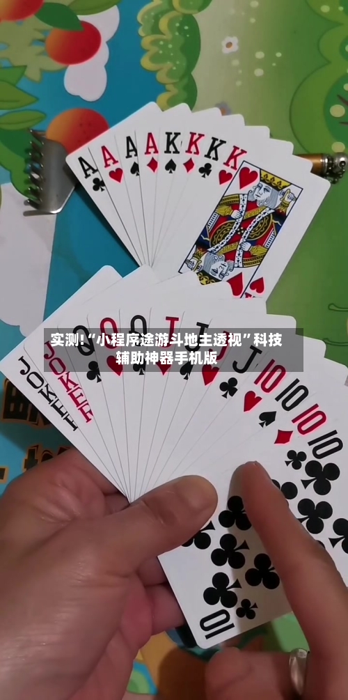 实测!“小程序途游斗地主透视”科技辅助神器手机版-第2张图片