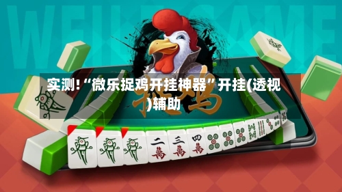实测!“微乐捉鸡开挂神器	”开挂(透视)辅助-第2张图片