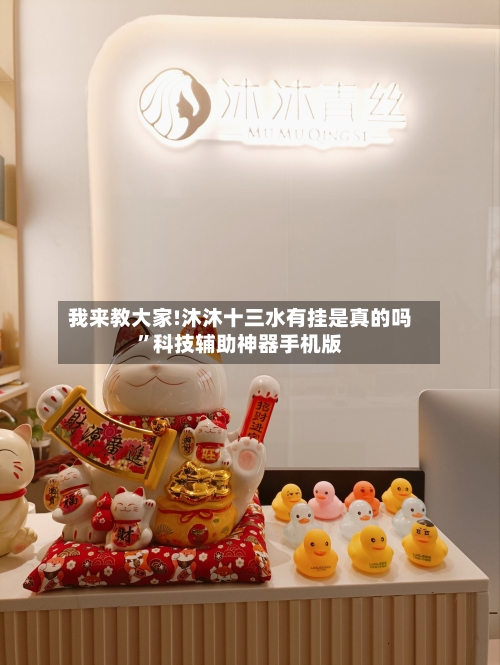 我来教大家!沐沐十三水有挂是真的吗”科技辅助神器手机版-第2张图片