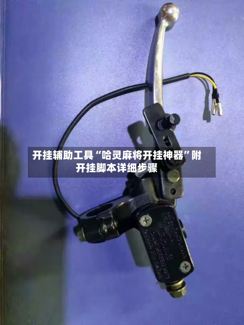 开挂辅助工具“哈灵麻将开挂神器”附开挂脚本详细步骤-第3张图片