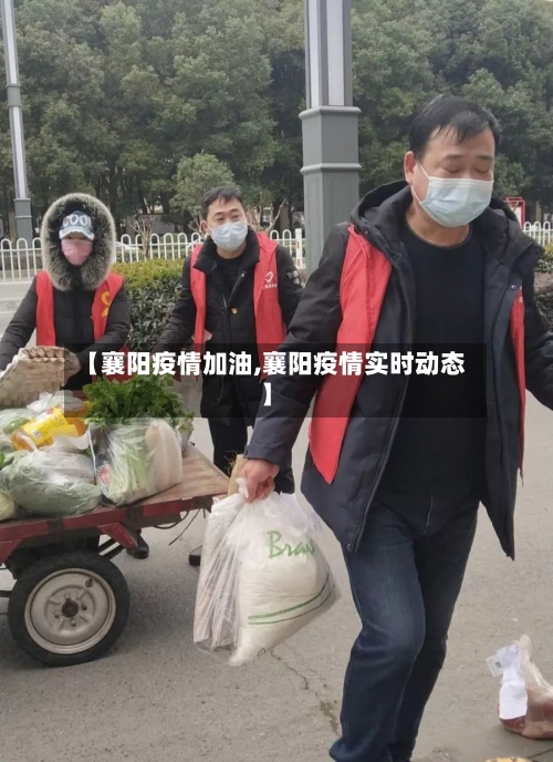 【襄阳疫情加油,襄阳疫情实时动态】-第3张图片