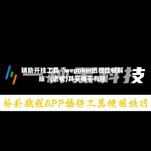 辅助开挂工具“wepoker透视挂破解版”(透视)其实确实有挂-第2张图片