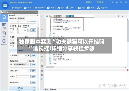 独家脚本实测“功夫熊猫可以开挂吗”透视挂!详细分享装挂步骤-第2张图片