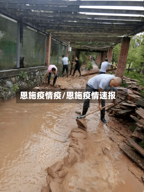 恩施疫情疫/恩施疫情速报