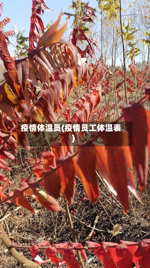 疫情体温员(疫情员工体温表)