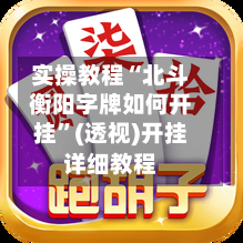 实操教程“北斗衡阳字牌如何开挂”(透视)开挂详细教程