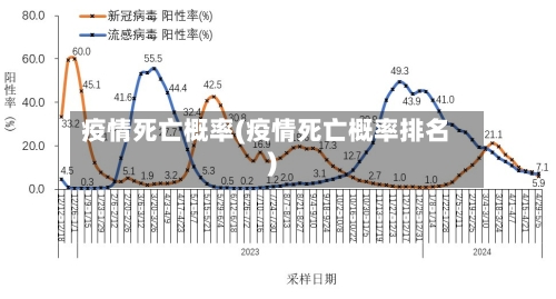 疫情死亡概率(疫情死亡概率排名)