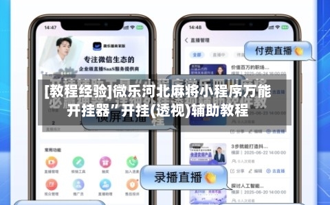 [教程经验]微乐河北麻将小程序万能开挂器”开挂(透视)辅助教程-第3张图片
