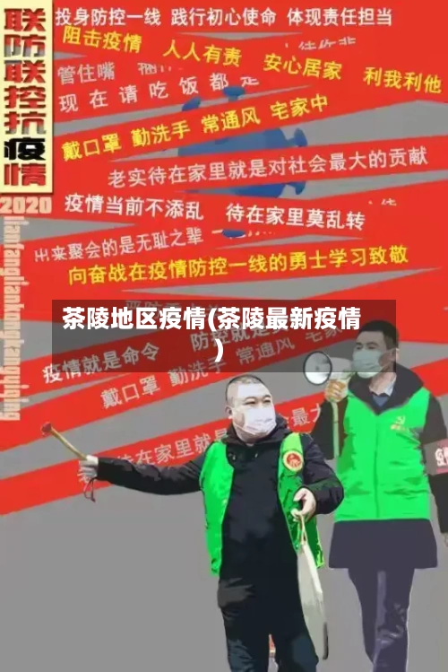 茶陵地区疫情(茶陵最新疫情)-第1张图片