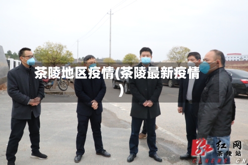 茶陵地区疫情(茶陵最新疫情)-第2张图片