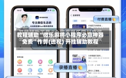 教程辅助“微乐麻将小程序必赢神器免费”作弊(透视) 开挂辅助教程-第3张图片
