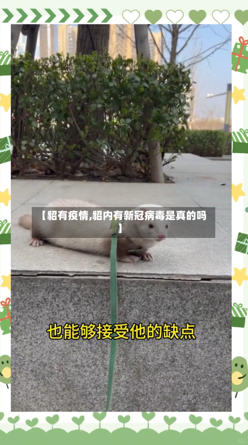 【貂有疫情,貂内有新冠病毒是真的吗】-第2张图片