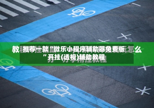 推荐一款“微乐小程序辅助器免费版”开挂(透视)辅助教程-第2张图片