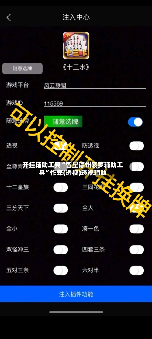 开挂辅助工具“智星德州菠萝辅助工具”作弊(透视)透视辅助-第1张图片