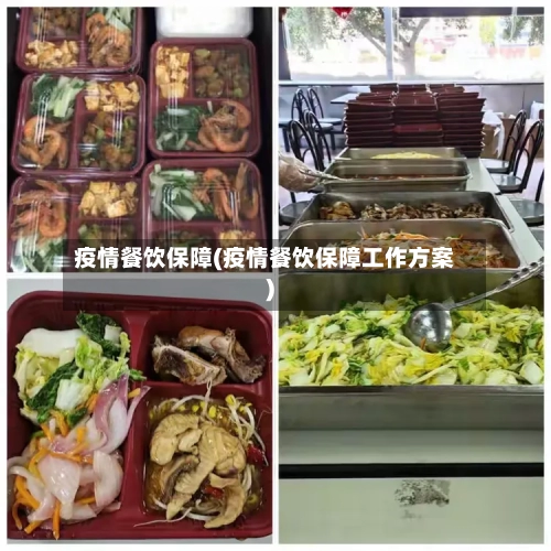 疫情餐饮保障(疫情餐饮保障工作方案)