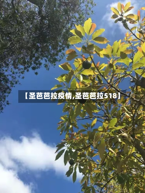 【圣芭芭拉疫情,圣芭芭拉518】-第3张图片