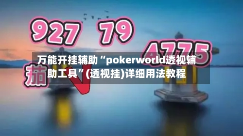 万能开挂辅助“pokerworld透视辅助工具	”(透视挂)详细用法教程-第3张图片
