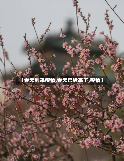 【春天到来疫情,春天已经来了,疫情】-第1张图片