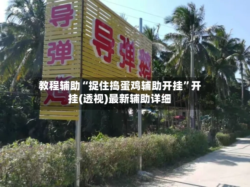 教程辅助“捉住捣蛋鸡辅助开挂”开挂(透视)最新辅助详细-第3张图片