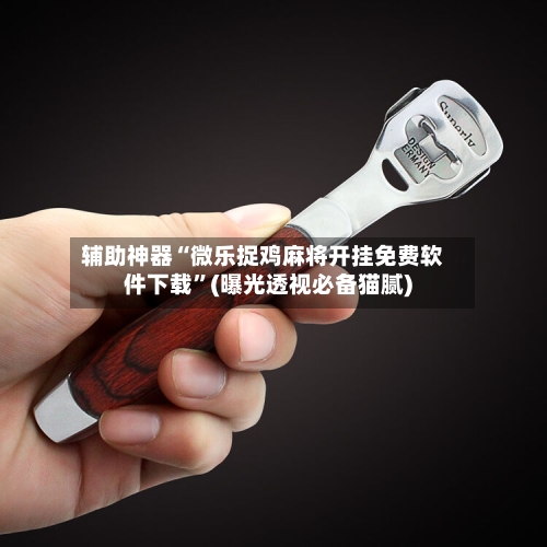 辅助神器“微乐捉鸡麻将开挂免费软件下载”(曝光透视必备猫腻)