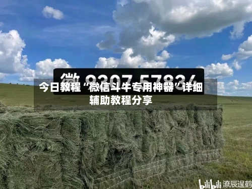 今日教程“微信斗牛专用神器	”详细辅助教程分享-第2张图片