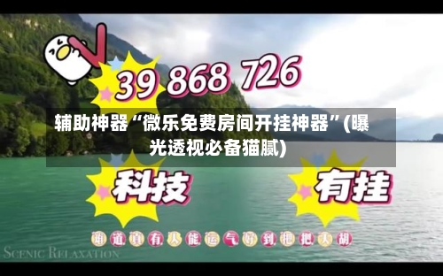 辅助神器“微乐免费房间开挂神器”(曝光透视必备猫腻)