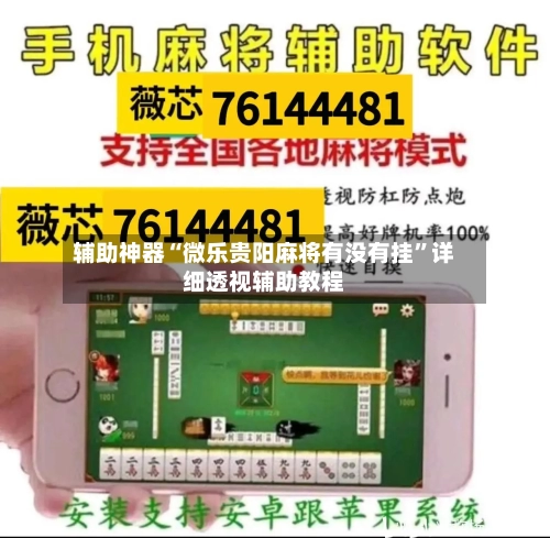 辅助神器“微乐贵阳麻将有没有挂	”详细透视辅助教程-第2张图片