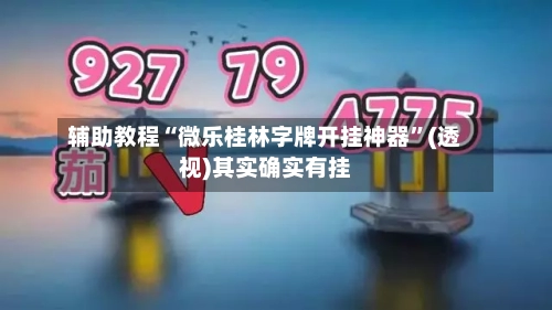 辅助教程“微乐桂林字牌开挂神器”(透视)其实确实有挂