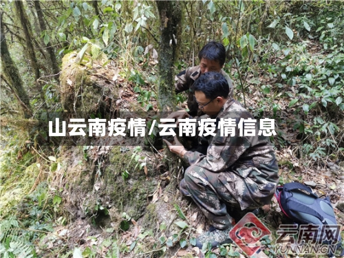 山云南疫情/云南疫情信息-第2张图片