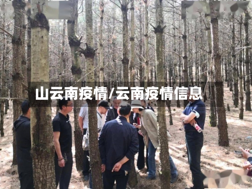 山云南疫情/云南疫情信息