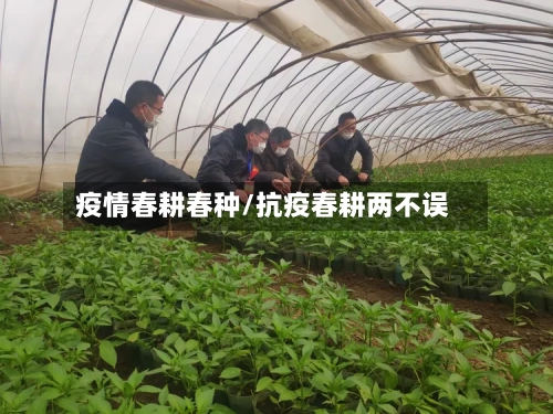 疫情春耕春种/抗疫春耕两不误-第2张图片