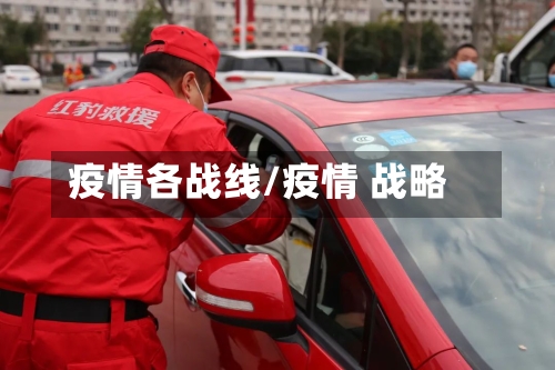 疫情各战线/疫情 战略-第2张图片