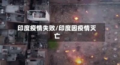 印度疫情失败/印度因疫情灭亡-第3张图片