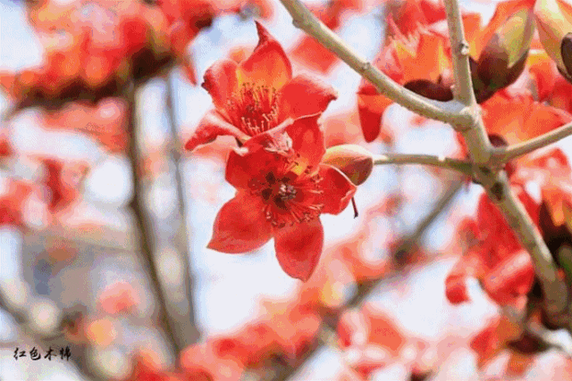 福州疫情迟/福州疫情实时动态查询