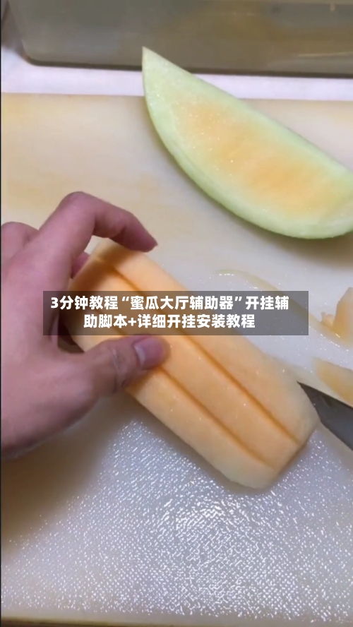 3分钟教程“蜜瓜大厅辅助器”开挂辅助脚本+详细开挂安装教程-第2张图片