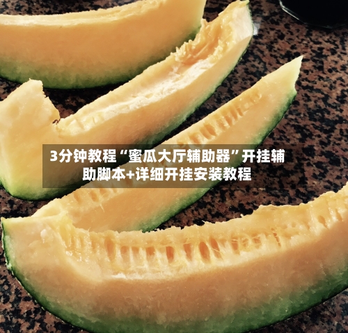 3分钟教程“蜜瓜大厅辅助器”开挂辅助脚本+详细开挂安装教程-第3张图片