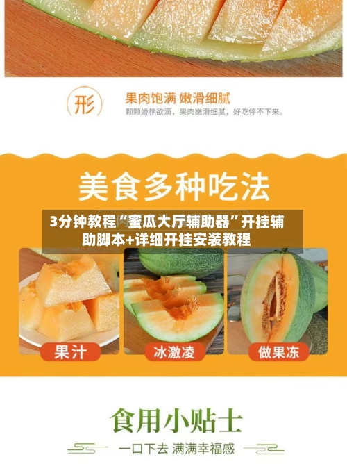 3分钟教程“蜜瓜大厅辅助器”开挂辅助脚本+详细开挂安装教程-第1张图片